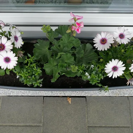 Blumenparadies