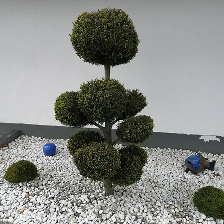 Blumenparadies Apartamento