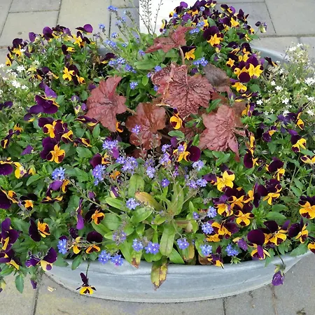 Blumenparadies