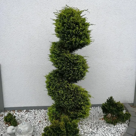 Apartment Blumenparadies *