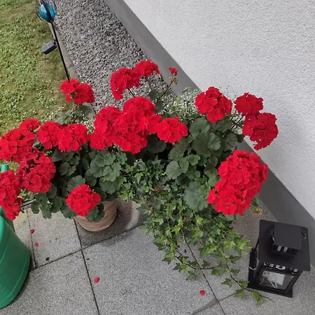 Blumenparadies