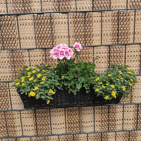 Blumenparadies Apartamento