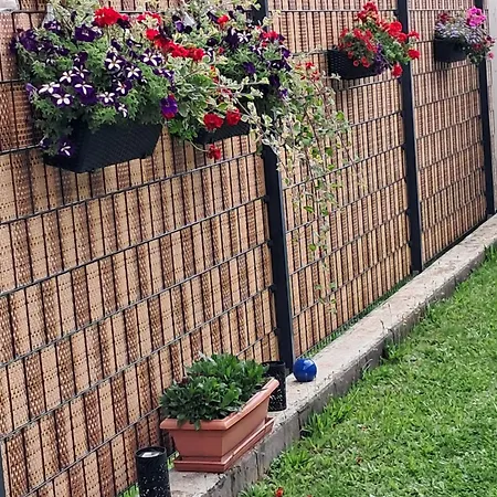 Blumenparadies *