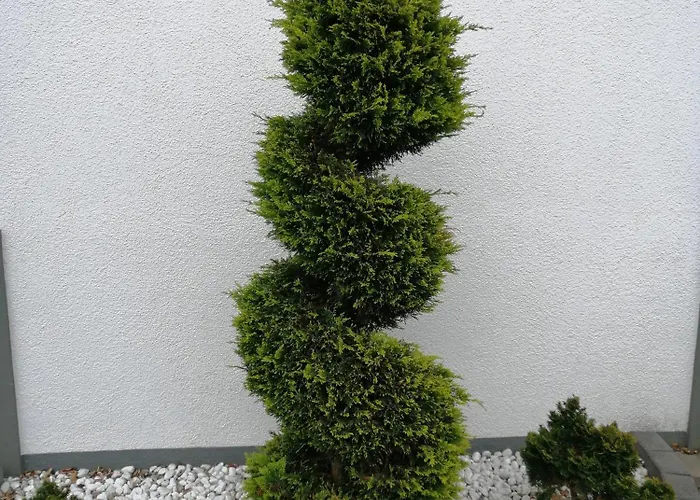 Apartamento Blumenparadies *