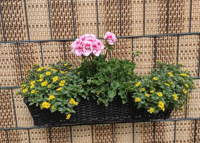 Blumenparadies Apartamento